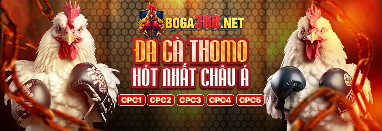 Trực tiếp đá gà Thomo tại m99 asia